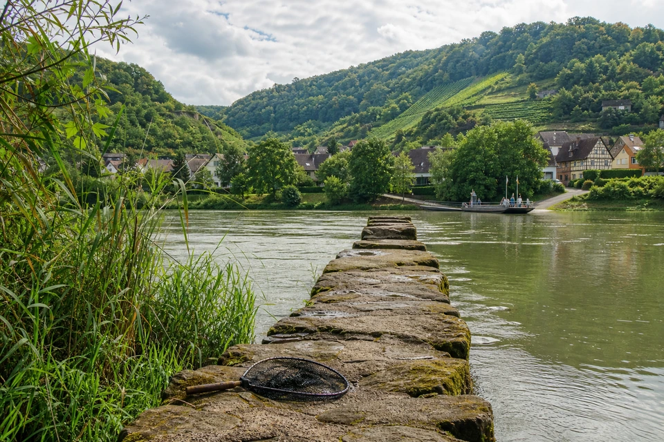 Niedrige Steinbuhne, die von einem Flussufer ins ruhige Wasser läuft, daneben ein Kescher (mit AI erstelltes Bild)
