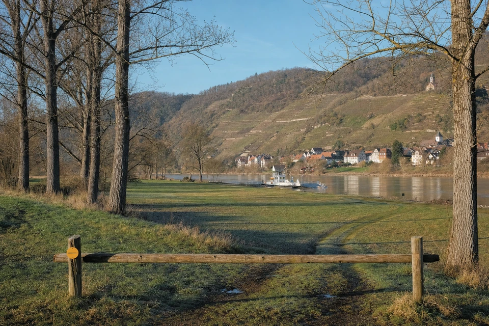 Leere Wiesenparzelle am Fluss im Frühjahr mit kahlen Pappeln und niedriger Holzschranke (mit AI erstelltes Bild)