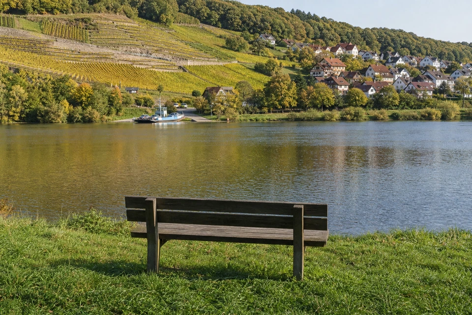 Bank am Flussufer mit Blick über das Wasser auf die Weinberge (mit AI erstelltes Bild)