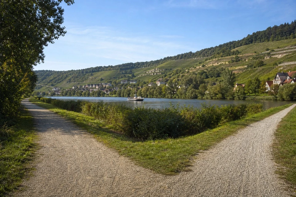 Zwei Schotterwege gabeln sich am Mainufer, dahinter eine Fähre auf dem Fluss und Weinberge am Gegenhang (mit AI erstelltes Bild)