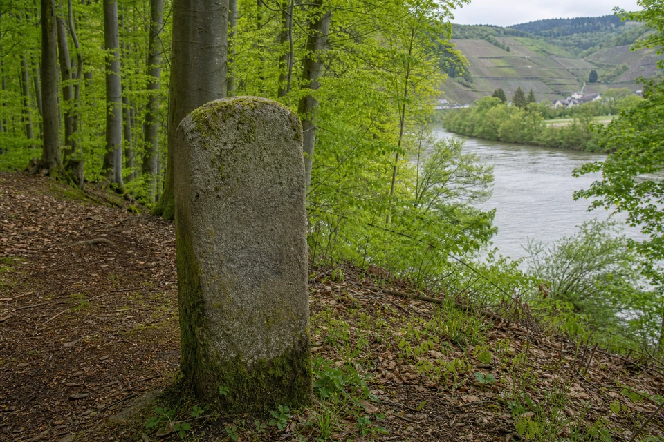 Bemooster Grenzstein ohne Inschrift neben einem schmalen Waldpfad zwischen Buchenstämmen (mit AI erstelltes Bild)